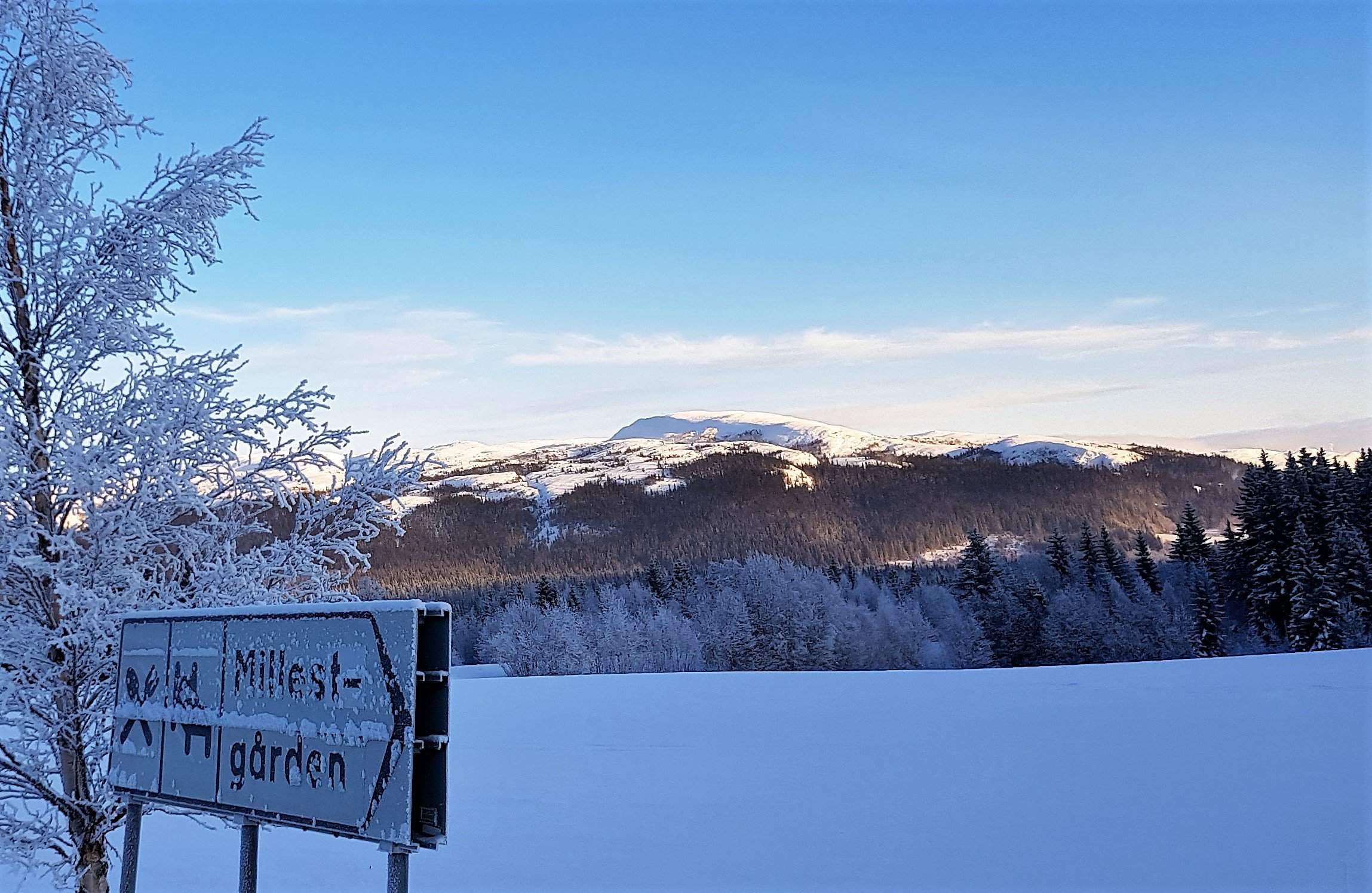 Millestgården | Eco Lodge Åre STF